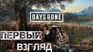 Days Gone - Первый взгляд