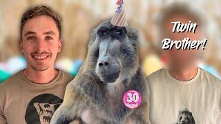 Baboon Birthday Party!!!