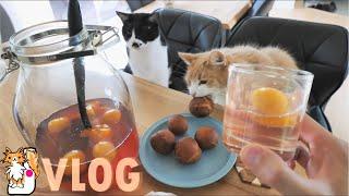 Homemade Japanese Plum Juice and Donuts ( Cooking vlog)