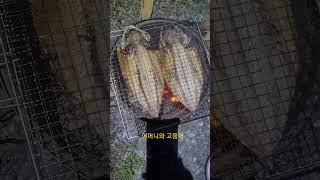 어머니와 고등어