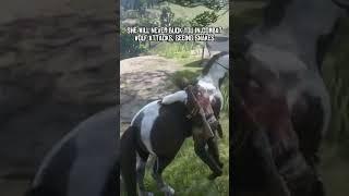 BEST HORSE IN THE GAME!!!  #rdronline   #reddeadredemption2 #reddeadonline #shorts