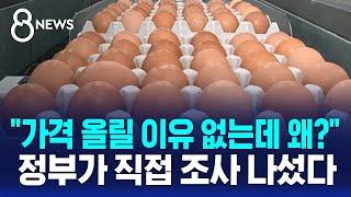 "달걀 가격 올릴 이유 없는데 왜?" 정부가 직접 조사 나섰다 / SBS 8뉴스