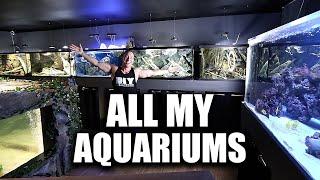 THE KING OF DIY FISH ROOM TOUR - EVERY AQUARIUM!!