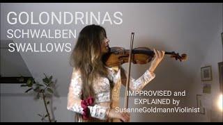 "GOLONDRINAS"Carlos Gardel Susanne Goldmann Violin,               Musica Argentina romantica