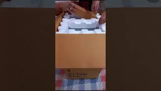 Chiku unboxing Philips tower speaker