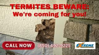 Pensacola Pest Control For Termites | WDO Inspection