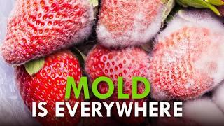 What Happens If You Eat Mold?