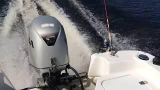 2011 CAROLINA SKIFF JVX PRE-RIG-SERIES 16/CC Honda 60HP water test