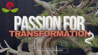 Passion for Transformation 2 ...California Juniper