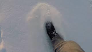 Walking in a Snow Forest - 1 Hour of Crunching Snow Sounds - Footsteps in a Snow for Relaxing