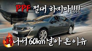 PPF 절대 하지마세요 (다른데서) | 업체 이름 밝히고 싶을 정도로 참담한.... 타업체에서 시공 받고 열받아서 달려오셨습니다 | 푸조508