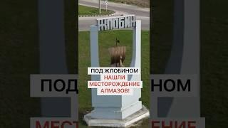 Под Жлобином нашли месторождение алмазов!