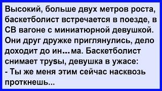 Высокий баскетболист и миниатюрная девушка в одном купе. Сборник! Клуб анекдотов!