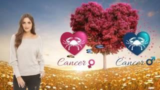 Compatibilités amoureuses entre une femme cancer et un homme cancer