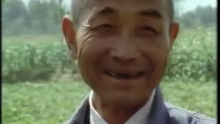 1979 China Travel Documentary - Xi'an, Shaanxi, China