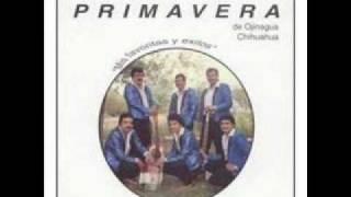 Conjunto Primavera - El solitario