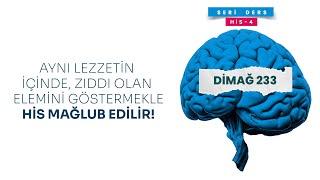 AYNI LEZZETİN İÇİNDE, ZIDDI OLAN ELEMİNİ GÖSTERMEKLE HİS MAĞLUB EDİLİR! | DİMAĞ-233 HİS-4