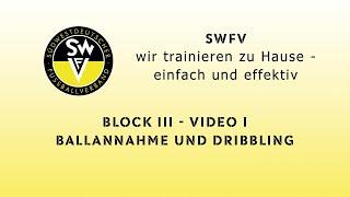 Training des Passpiels mit Dribbling - Block 3 - Video 1