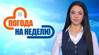 Страну ожидает холод и ветер! | Погода в Беларуси с 16 по 23 ноября | Плюс-минус