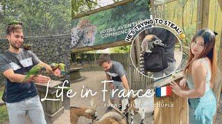 DATE AT BORDEAUX ZOO VLOG  | A peaceful day in our life | Roxel Life 