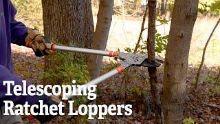 Telescoping Ratchet Loppers