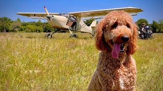 SKETCHY landing in the AVID FLYER! STOL airplane adventures!