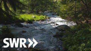 Südtirol, Gardasee, Adria - die Etsch | SWR Geschichte & Entdeckungen