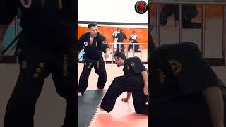 AKD Self Defense, AikiKarate Do Techniques Performing #shorts #short #shortvideo #shortsvideo