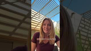 Разрешения на работу на 5 лет для ожидающих беженский статус в США. #думайтеглобально #логофилка