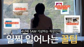 이래도 안 일어나? ⏰ 미라클모닝 4년차의 일찍 일어나는 꿀팁 6가지 | 아이템 소개, 알람 추천, 루틴 자동화, 잠 깨는 방법