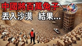 China dumped millions of rabbits into the desert! The result was unexpected! Foreigners were......