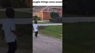 #funny #city #funnyvideo #explore #comedy #dog #running