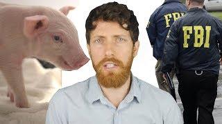 FBI Hunts Rescued Pigs | The Bacon Industrial Complex