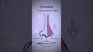 Занятия по йоге на канале #йога #пранаяма