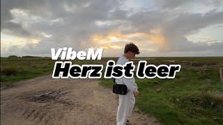 Herz ist leer - VibeM (Official Visualizer)