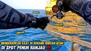 ENAAAAK !!! Mancing di Sarang Ikan Kelaparan Yang Banyak Ranjau, Di Serbu Koloni Ikan Kelaparan