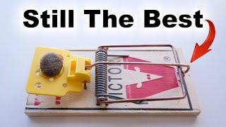 Best Mouse Trap – Best Bait