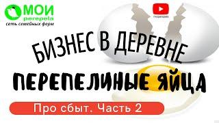 Кому продать перепелиные яйца. Перепела как бизнес. Про сбыт. Часть 2