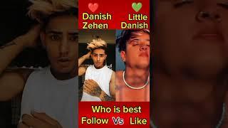 Danish Zehen vs Little Danish
