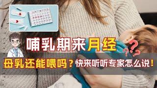 哺乳期来月经，母乳还能喂吗？快来听听专家怎么说！‍️