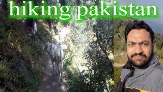 hiking pakistan my personal experience mushkpuri mountain hiking by vocal of amir