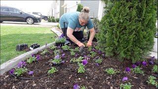 BACK IN THE GARDEN! PLANTING UP THE FRONT GARDEN WITH BEAUTIFUL COLOR!