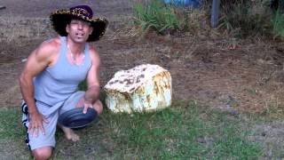 Cosumnes river gold panning