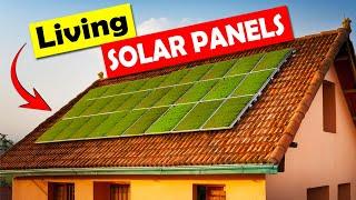 These Solar Panels are ALIVE | But How They Work?