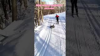 Как трудно быть Дедом Морозом#how to be santa claus
