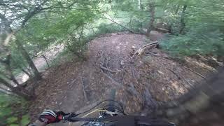 MTB Roller Coaster 2020 (Vienna) Trail