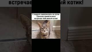 24 июня 2025 г.