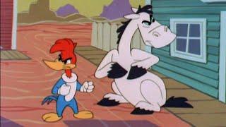 Woody Saves HIs Best Friend | 2.5 Hours of Classic Episodes of Woody Woodpecker