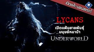 เปิดแฟ้มมอนสเตอร์ : Lycans เปิดแฟ้มสายพันธ์ุหมาป่าแห่งสงครามโค่นพันธุ์อสูร | Underworld
