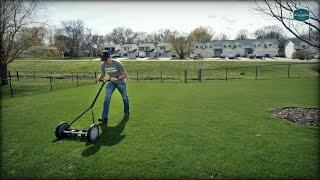 I Bought ANOTHER Reel Mower and Here's WHY...